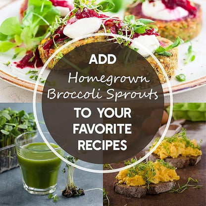 Organic Sprouting Seed Mix – 2.5 lb – 10 Varieties: Alfalfa, Mung Bean, Broccoli, Lentil, Clover, Buckwheat, Radish, Bean Salad, More