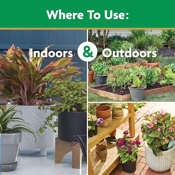 Miracle-Gro Water Soluble All Purpose Plant Food, Feed Flowers, Vegetables, Roses, Shrubs, and Houseplants, 5.5 lb.