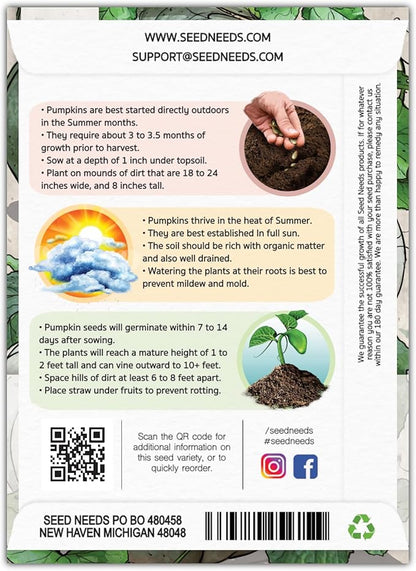 Seed Needs Pumpkin Seeds for Planting Blue Jarrahdale Pumpkins - Non-GMO Heirloom & Untreated Cucurbita Maxima Seed to Plant an Outdoor Home Grown Vegetable Garden (2 Packs)
