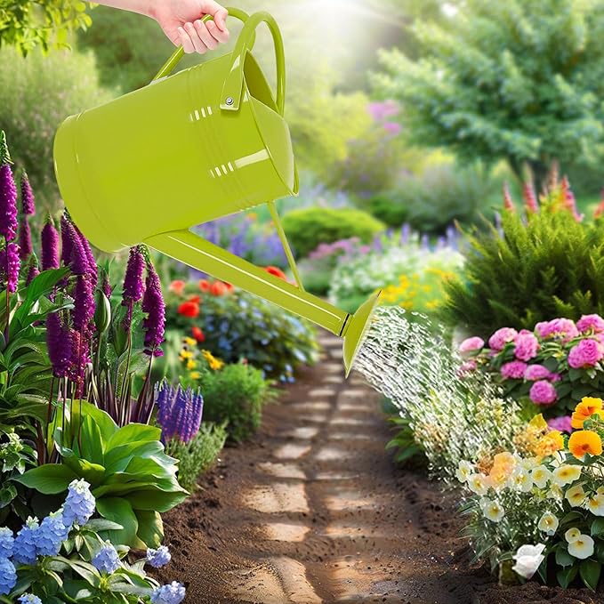 Metal Watering Can for Outdoor Plants, 2 Gallon Galvanized Steel Watering Can with Removable spout (Green)