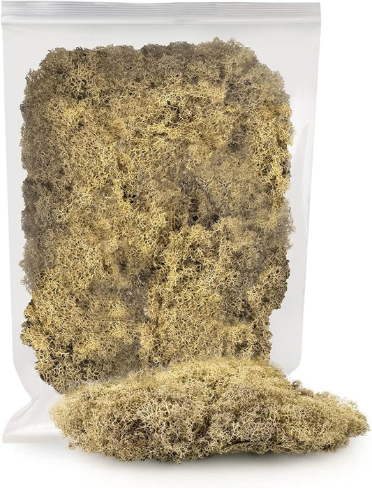 GARDENERA Premium Preserved Reindeer Moss for Potted Plants, Terrariums, Fairy Gardens, Arts and Crafts or Floral Decor Design in Natural (4 Quart Bag)