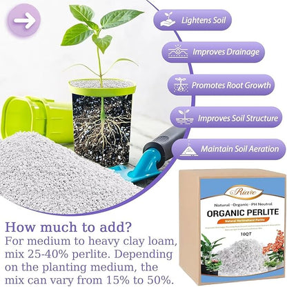 Riare 10 Quarts Organic Perlite for Plants - Horticultural Perlite Soil Amendment for Plants Potting Mix, Natural Chunky Perlite Soil Additive Conditioner Improve Root Growth, Drainage and Ventilation