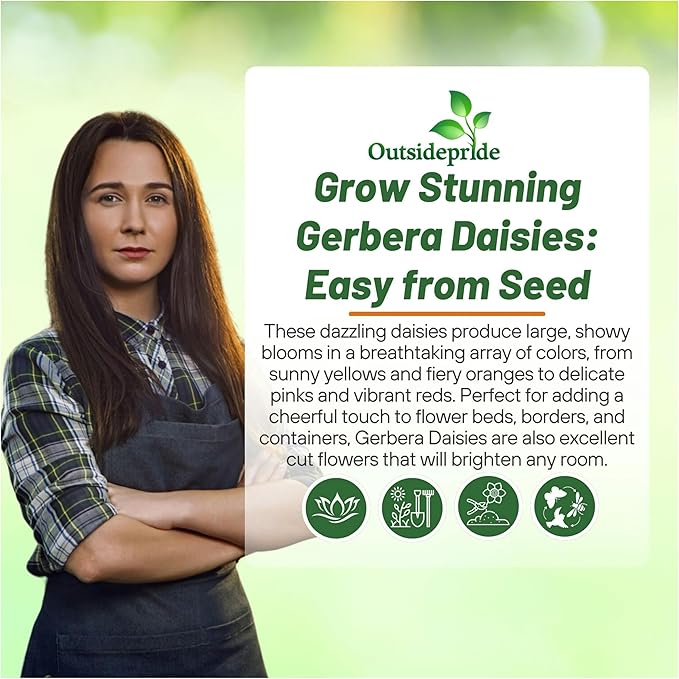 Outsidepride Rose Shades Gerbera Seeds - 20 Pcs Perennial, Compact & Low Maintenance, Flower Seeds for Planting w/Vibrant Rose Blooms, Ideal for Garden Landscaping & Cut Flower Arrangements