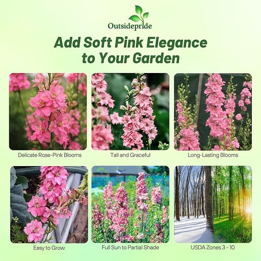Outsidepride Delphinium Rose Larkspur Seeds for Planting Outdoors - 2000 Pcs Annual, Self-Seeding, Heat & Drought Tolerant Wildflower Seeds, Colorful Blooms for Flower Arrangement & Pollinator Garden