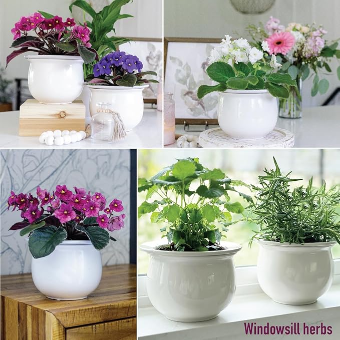 African Violet Pots Self Watering – 6.5”W x 4.6”H Ceramic Self Watering Pots for Indoor Plants with Glazed White Outer Pot & Absorbent Inner Pot for Easy Plant Care