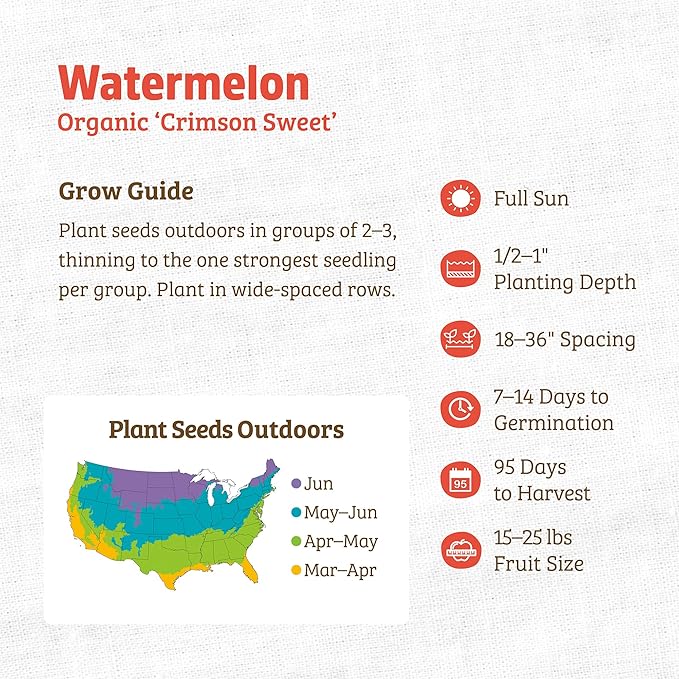 Back to The Roots 100% Organic Seed Packet - Watermelon 'Crimson Sweet' 1.7g