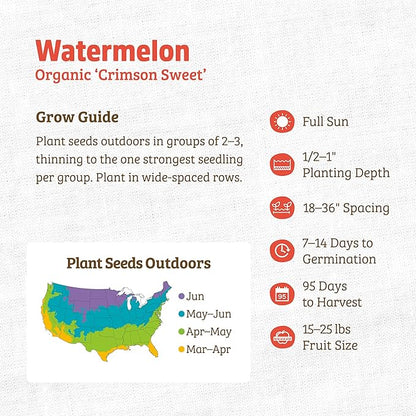 Back to The Roots 100% Organic Seed Packet - Watermelon 'Crimson Sweet' 1.7g