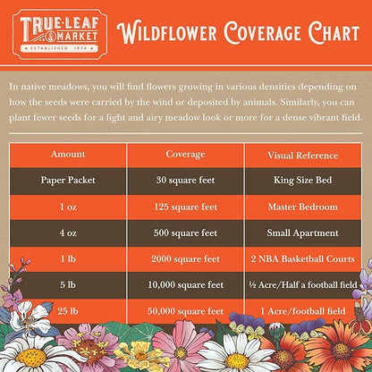 All Annual Wildflower Mix Seeds for Planting - 4 Oz ~4,000+ Seeds - 21 Varieties Including California, Indian Blanket, Scarlet Flax, & More - Attracts Pollinators - Bulk Wildflower Seed