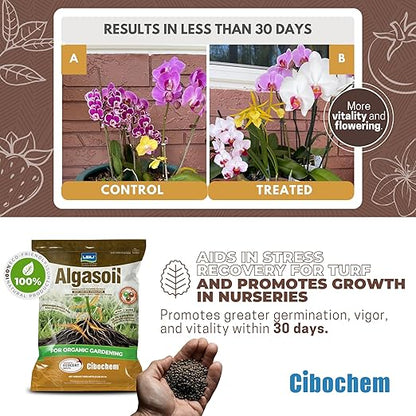 Granulated Seaweed Extract Stimulator - 5lb (80 oz) - Stronger Root Growth, Quick Visible Results, Ideal for Organic Crops, Apply Directly, Easy Aply.