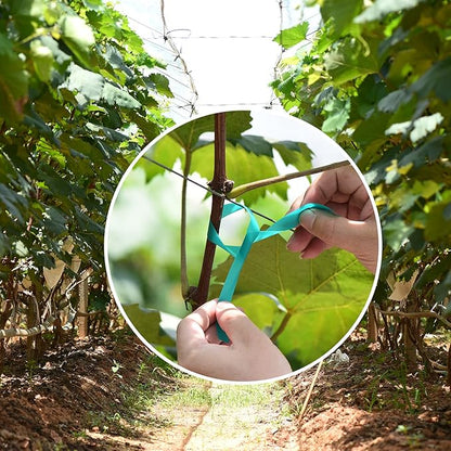 Stretch Tie Tape, 1” Wide 200FT Reusable Garden Plant Ties Green Tapes for Plants, Thick Garden Vinyl Stake Ribbon for Branches Flowers Tomatoes Indoor Outdoor Greenhouse