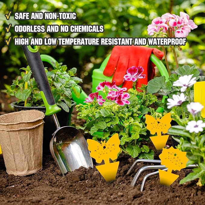 96PCS Fruit Fly Sticky Traps, Gnat Traps Insect Trap for Plants Kitchen Indoor and Outdoor