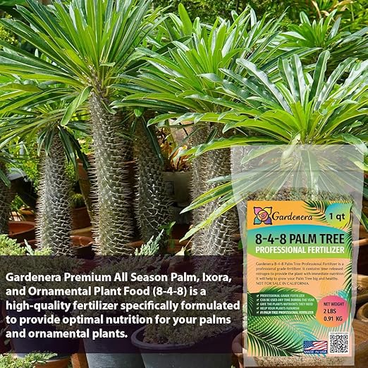 Premium 8-4-8 Professional Palm Tree Fertilizer Plant Food |Indoor Potted Plants and Outdoor Landscape Palm Trees | Quick-Release Nitrogen Fertilizer and Continuous Feeding (20 Quarts)