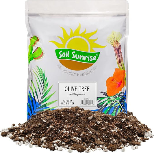 Soil Sunrise Olive Tree Potting Soil Mix (12 Quarts) for Planting, Repotting, and Growing Olive Bushes/Plants
