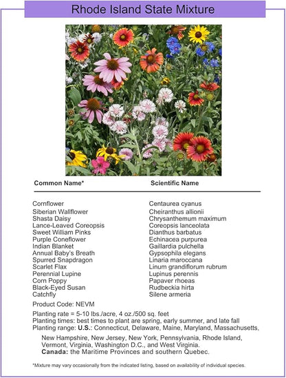 Rhode Island Bulk Perennial Wildflower Seed Mix 1lb Covers 2,000sq-ft - Attract Pollinators, Multi-Color Blooms - Northeast US Species Plant in Spring/Fall - Earth-Friendly Packaging (1/4 Pound)
