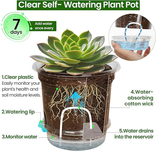 MIXC 12 Packs 5 Inch Self Watering Pots for Indoor Plants - Clear Nursery Plant Pots with Drainage, Deep Visible Reservoir - Flower Planter Outdoor with Wicking Rope