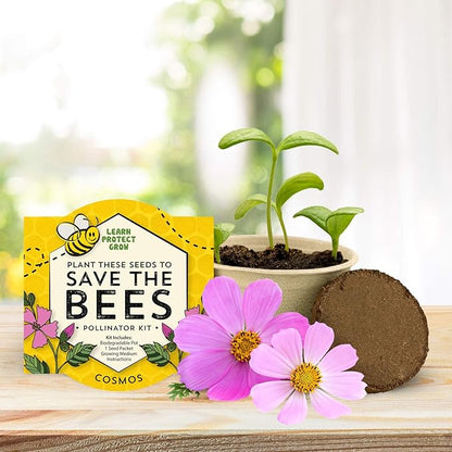 BUZZY Seeds Save The Bees Grow Kit, 12 Biodegradable Mini Flower Pots with Wildflower Seed Packets, Indoor Outdoor Planting Starter Set, DIY Gardening Gift, Sustainable Party Favors Adults