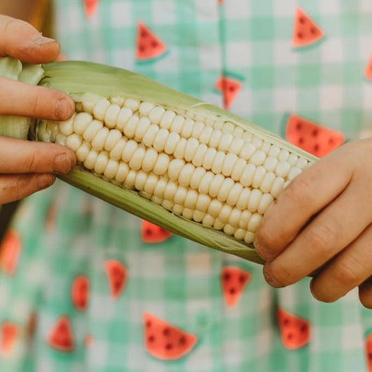 Howling Mob Heirloom Sweet Corn - 50 Seeds - Rare Heirloom Sweet Corn Variety, Sweet White Kernels, Non-GMO Heirloom Sweet Corn Seeds for Planting in The Home Garden, Thresh Seed Company