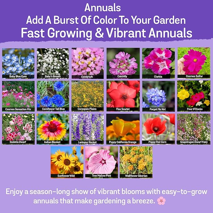 NatureZ Edge Wildflower Seeds Mix – 2 Oz, 85,000 Seeds, 35 Variety Perennial & Annual Flower Seeds to Plant Outside, Bulk Wildflower Seeds, Wild Flower, Semillas de Flores