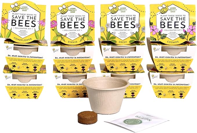 BUZZY Seeds Save The Bees Grow Kit, 12 Biodegradable Mini Flower Pots with Wildflower Seed Packets, Indoor Outdoor Planting Starter Set, DIY Gardening Gift, Sustainable Party Favors Adults