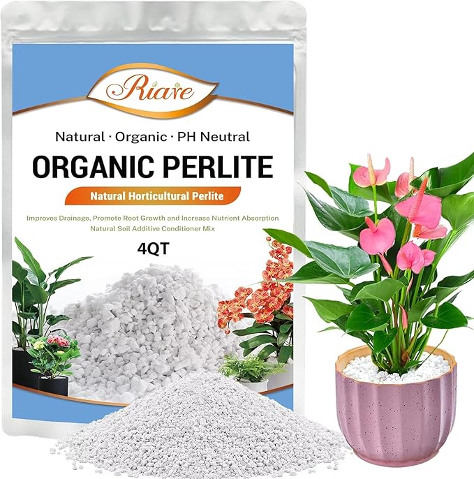 Riare 4 Quarts Organic Perlite for Plants - Horticultural Perlite Soil Amendment for Plants Potting Mix, Natural Chunky Perlite Soil Additive Conditioner Improve Root Growth, Drainage and Ventilation