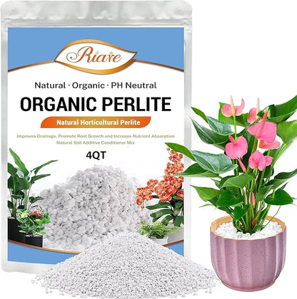 Riare 4 Quarts Organic Perlite for Plants - Horticultural Perlite Soil Amendment for Plants Potting Mix, Natural Chunky Perlite Soil Additive Conditioner Improve Root Growth, Drainage and Ventilation
