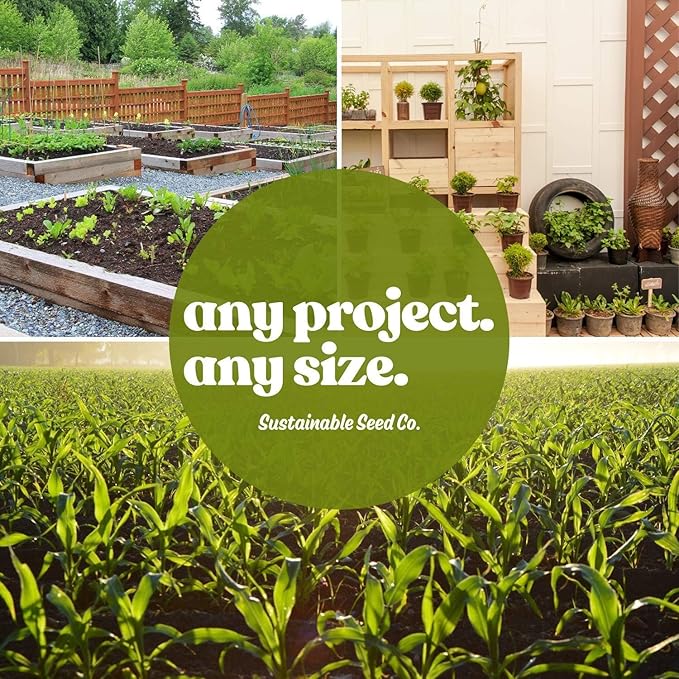 Matador Viking Spinach 4 Oz ~8,400 Seeds – Non-GMO Heirloom – 45 Days to Maturity – Smooth Dark Green Leaves – Slow Bolting – Open-Pollinated Annual – Cold Hardy Leafy Green – USA Grown