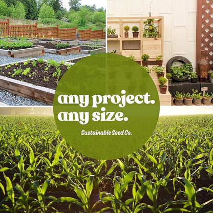 Matador Viking Spinach 4 Oz ~8,400 Seeds – Non-GMO Heirloom – 45 Days to Maturity – Smooth Dark Green Leaves – Slow Bolting – Open-Pollinated Annual – Cold Hardy Leafy Green – USA Grown