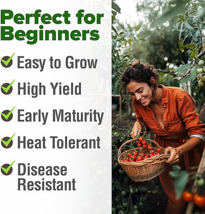 HOME GROWN Heirloom Tomato Seed Collection – Beefsteak & Large Red Cherry (1100+ Non-GMO Seeds for High-Yield Gardening) Solanum lycopersicum