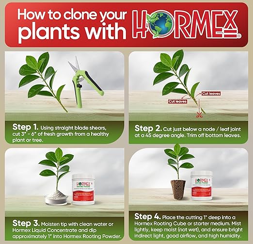 Hormex Rooting Powder #8 (0.80 IBA) - Fast-Acting Rooting Hormone for Semi-Hardwood Houseplants & Tree Cuttings - Root Stimulator for Plant Cloning - Strong Growth for Maximum Propagation Success, 1LB