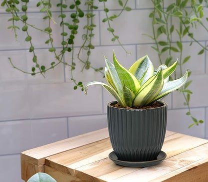 D'vine Dev Set of 2 Stoneware Planter Pot, Ceramic Pot with Drainage Hole and Saucers, 4.5 Inch 5.8 Inch, Charcoal Grey, 99-D-3