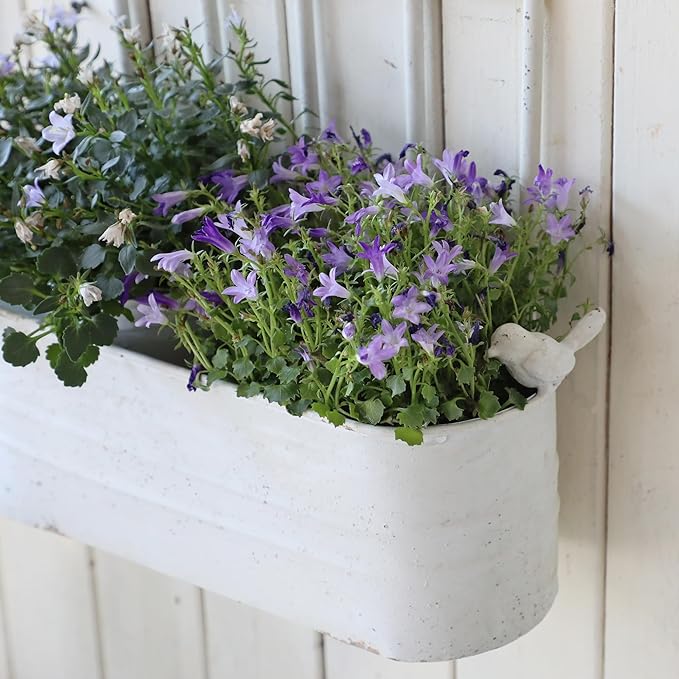 Rustic Metal Wall Planter Vintage Wall Mounted Flower Pot Distressed Wall Hanging Plant Basket Farmhouse Wall Decor for Indoor Outdoor Garden Home Yard (White)