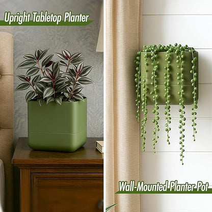 Phoenix Vine 6.5-Inch Wall Mounted Self-Watering Planter Pot for Indoor Houseplants and Herbs | Hanging Planter for Window Sills, Bathroom Walls, Home & Office Décor, Olive, Set of 1, 01-WP-C-1