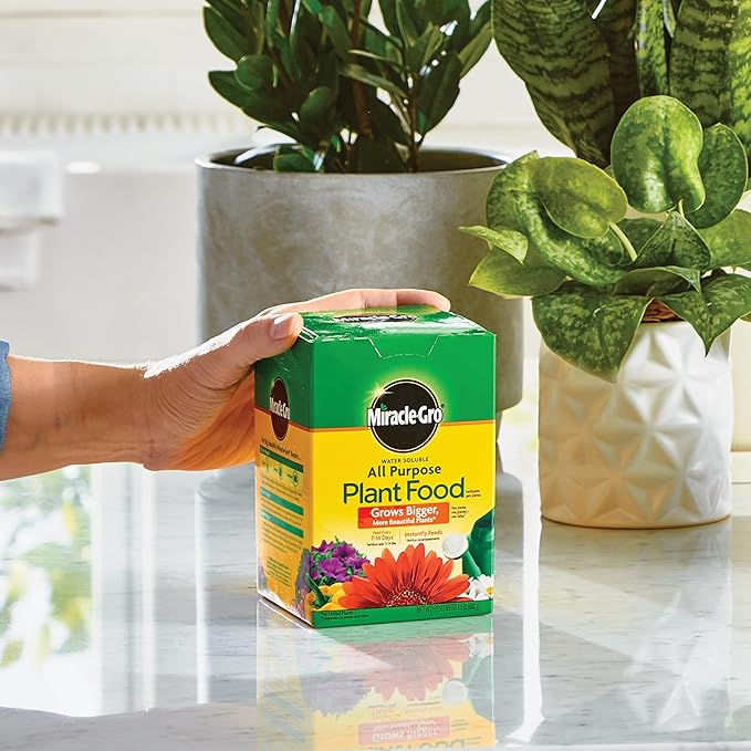Miracle-Gro Water Soluble All Purpose Plant Food, For All Indoor or Outdoor Plants, Roses, Flowers, Vegetables, Houseplants, Trees, and Shrubs, 1.5 lbs