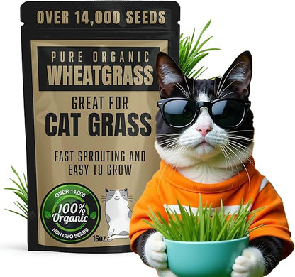 Whetagrass Kits (Wheatgrass Seed 16oz)