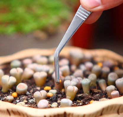 Stainless Steel Tweezers Set, For Small Gardening and Kitchen, Multi-Purpose Tools. (3Pcs, 6.15Inches / 6.3Inches / 6.5Inches)