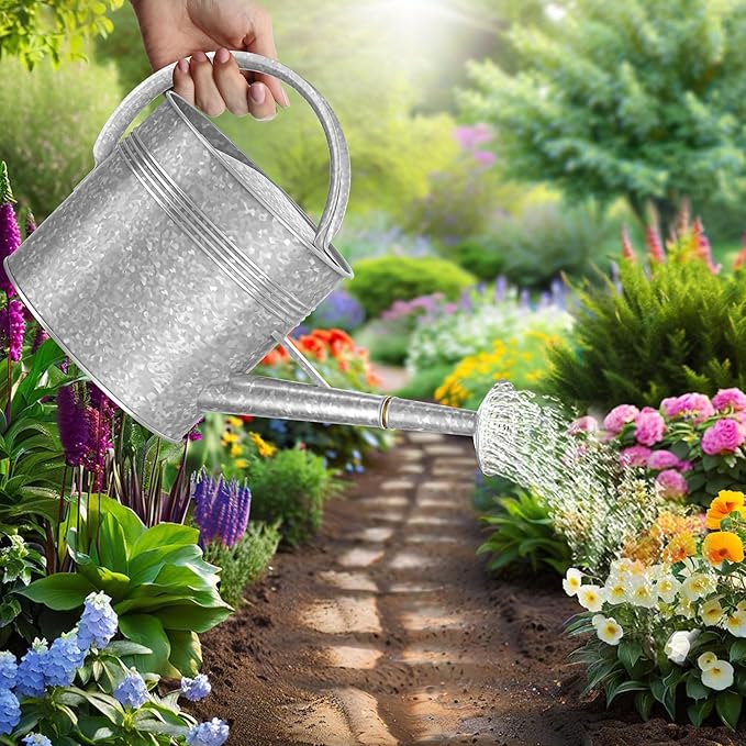 2.5 Gallon Ellipse Decorative Countryside Style Water Can with Removable Spout, Galvanized Watering Can for Outdoor Indoor Plants, Metal Watering Can for Indoor Plants and Garden Flower