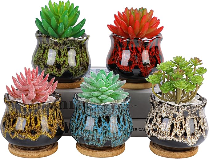 Cute Ceramic Succulent Garden Pots, Planter with Drainage and Attached Saucer, Set of 5 -Plants Not Included (Fambe)