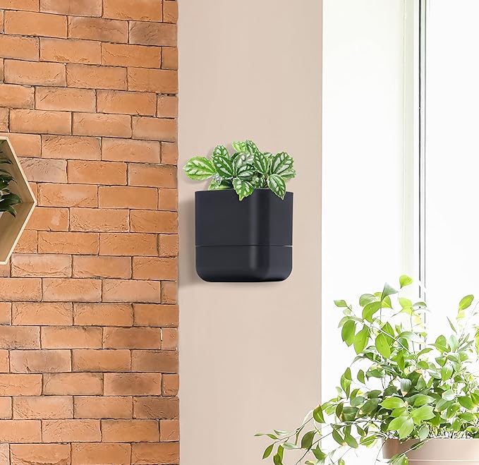 Phoenix Vine 6.5-Inch Wall Mounted Self-Watering Planter Pot for Indoor Houseplants and Herbs | Modern Hanging Planter for Window Sills, Bathroom Walls, Home & Office Décor, Black, Set of 1, 01-WP-B-1