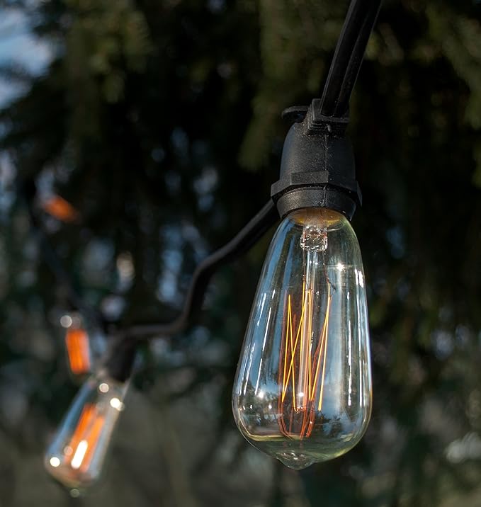 Hometown Evolution, Inc. Commercial Edison Bulb Outdoor String Lights with Hand-Threaded Filament (ST40 Lantern Edison - Commercial Black Wire, 100 ft)