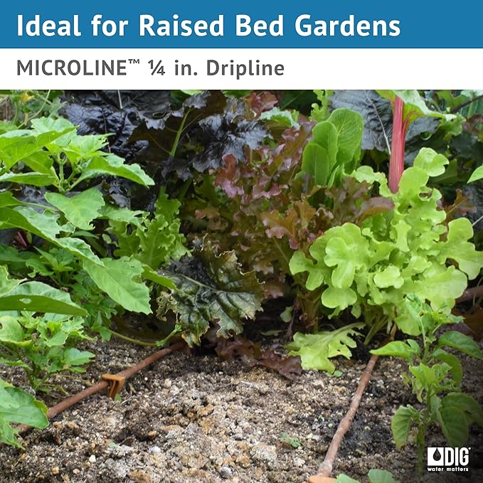 DIG ML-109B ¼” 100’ MICROLINE™ Dripline, 9” Dual Outlet Emitter Spacing, UV-Resistant Tubing for Efficient Irrigation | Ideal for Raised Beds, Gardens | Flexible, Durable, Easy Installation (Brown)