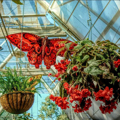 16 Inch Coco Liner for Planters, 2PCS Round Replacement Plant Basket Liner, Coco Fiber for Hanging Basket