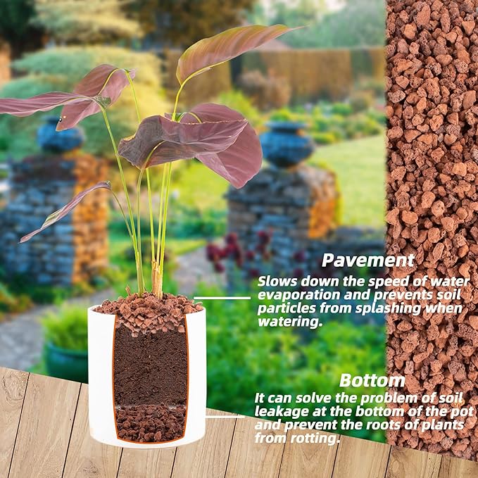 Natural Lava Rocks Granules Decorative Landscaping for Bonsai, Cacti, Succulents Plants, Vase Fillers and Terrarium Plants, 5Lbs