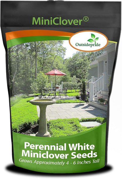 Outsidepride Perennial White MiniClover Seed - 1 lb. Dwarf, Small-Leaved, Drought & Wear-Tolerant Micro Clover Seeds for Lawn, Ideal Low-Maintenance & Easy to Grow Ground Cover Seeds for Home Yard