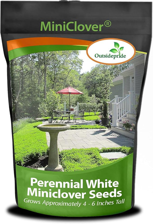 Outsidepride Perennial White MiniClover Seed - 2 lb. Dwarf, Small-Leaved, Drought & Wear-Tolerant Micro Clover Seeds for Lawn, Ideal Low-Maintenance & Easy to Grow Ground Cover Seeds for Home Yard