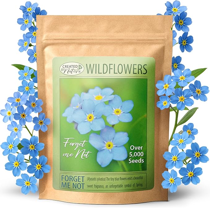 Created by Nature Forget Me Not Seeds, 5,000 Blue Biennial Wildflower Seeds