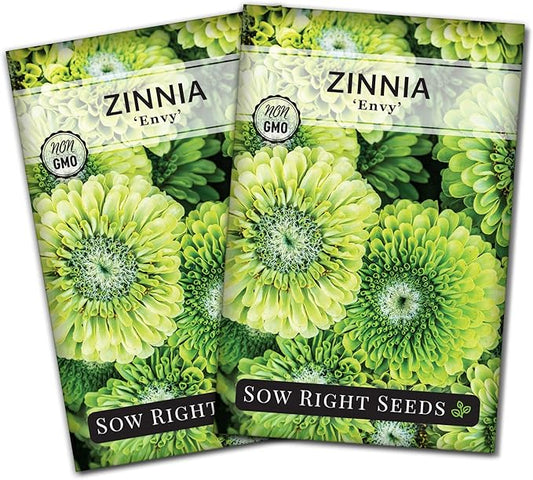 Sow Right Seeds - Zinnia Envy Flower Seeds for Planting - Beautiful Flowers to Plant in Your Garden - Non-GMO Heirloom Seeds - Chartreuse Green Variety - Attract Pollinators - Giant Cut Flower (2)