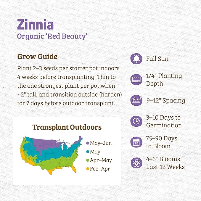 Back to The Roots 100% Organic Seed Packet - Zinnia 'Red Beauty' 210mg