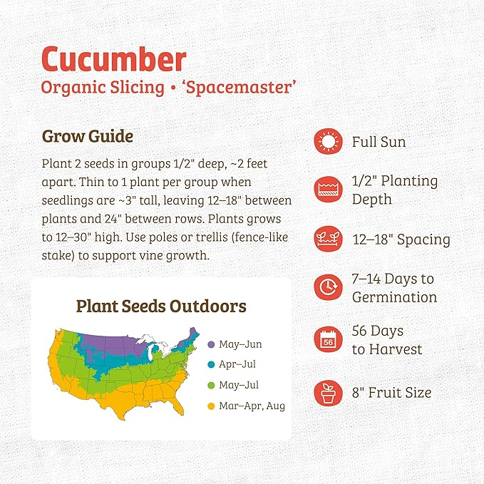 Back to The Roots 100% Organic Seed Packet - Cucumber 'Spacemaster' 1.5g