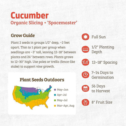 Back to The Roots 100% Organic Seed Packet - Cucumber 'Spacemaster' 1.5g