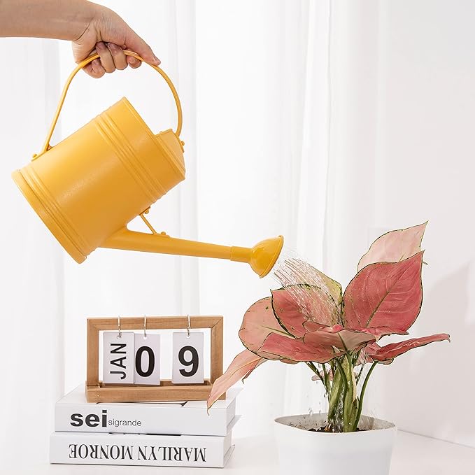 Plastic Indoor Watering Can with Detachable Sprinkler Head - 68oz (1/2 Gallon) for House Plants and Flowers